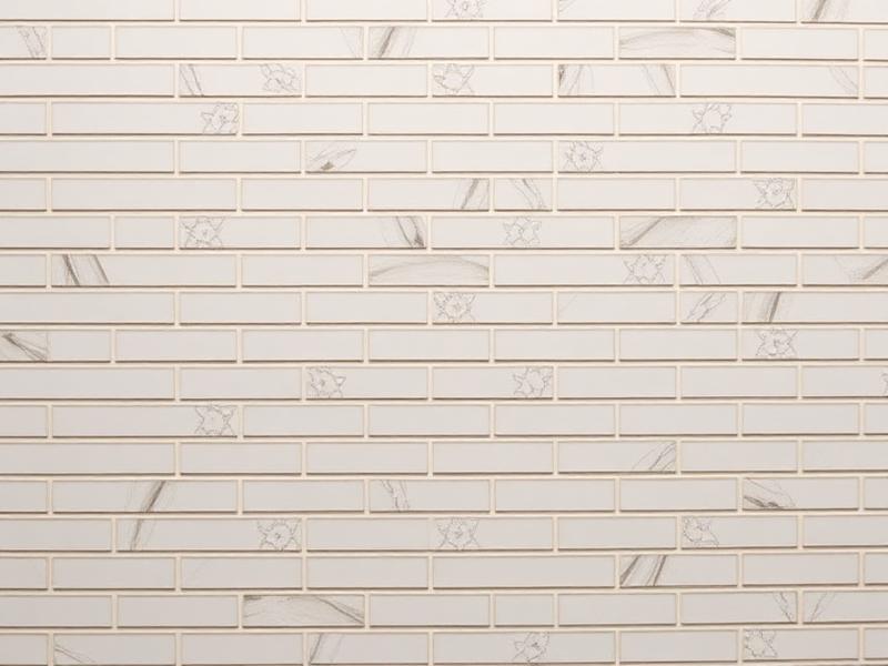 Azulejo Branco 20x30